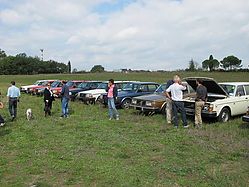 IMG_7737.jpg