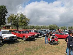 IMG_7768.jpg