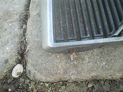 IMG-20141223-WA0003.jpg
