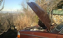 IMG-20150202-WA0015.jpg