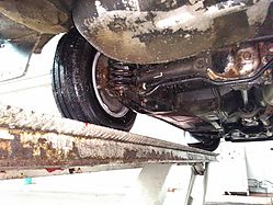 IMG_20160401_101039.jpg