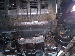 IMG_20160401_103444.jpg