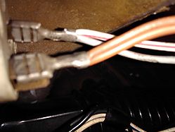 IMG_20160420_110537.jpg