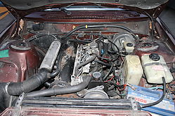 IMG_2869.JPG