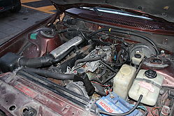 IMG_2870.JPG