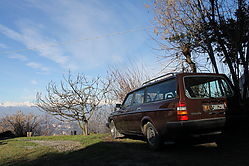 IMG_2872.JPG