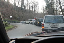 IMG_3974.JPG