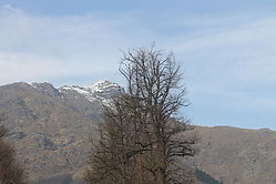 IMG_3979.JPG