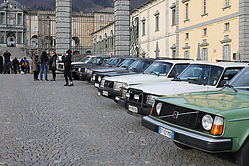 IMG_3981.JPG