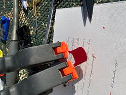 IMG_9208.jpg