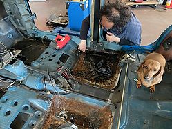 IMG_9503.jpg