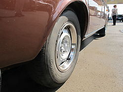 IMG_9785.JPG