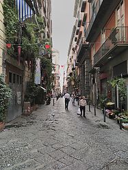 OSG_015.jpg