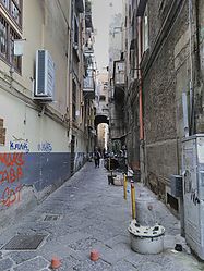 OSG_023.jpg