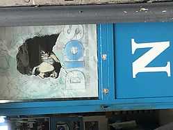 694397E6-F3D8-44E9-A201-44084A05C9D9.jpeg