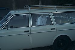 file-23.JPG