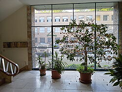 20210626_195839_HDR.jpg