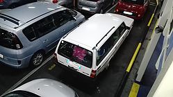 IMG_20170815_050929.jpg