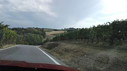 IMG_20170826_165300.jpg