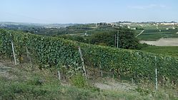 IMG_20170826_170155.jpg