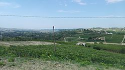 IMG_20170826_170204.jpg