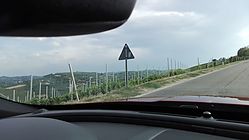 IMG_20170826_170224.jpg