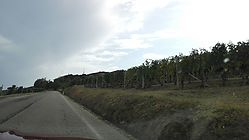 IMG_20170826_170227.jpg