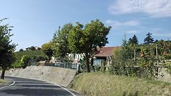 IMG_20170826_170501.jpg
