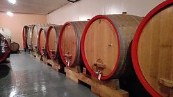 IMG_20170826_174006.jpg