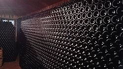 IMG_20170826_175401.jpg