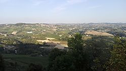IMG_20170826_191221.jpg