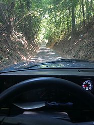 f5326520-8177-4bd1-be00-51bfbc538133.jpg