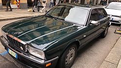 jaguar_2.jpeg