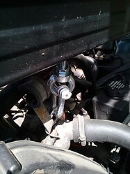 IMG_20220521_132543.jpg
